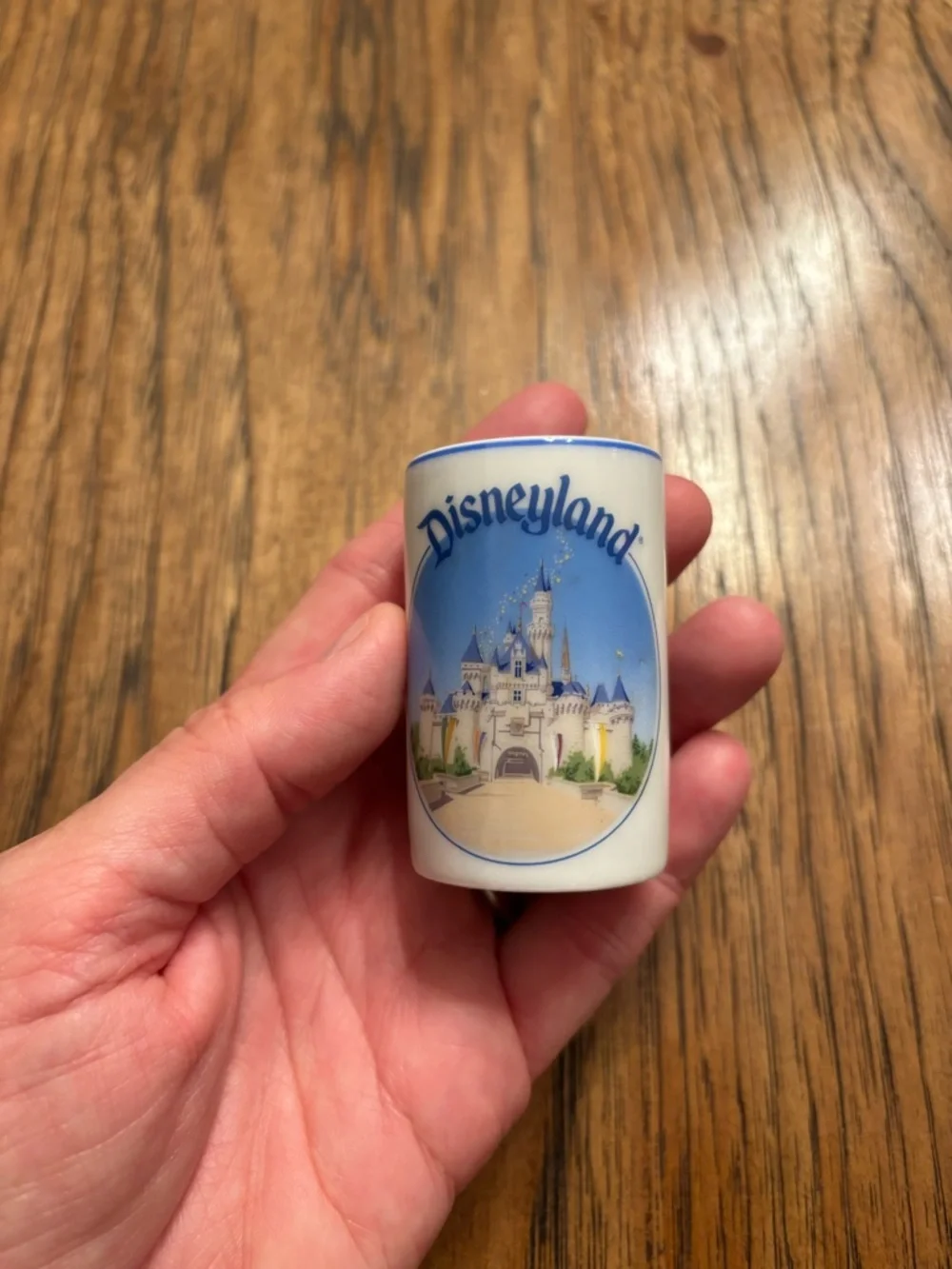 Vintage Disneyland Sleeping Beauty Castle Mini Porcelain Toothpick Holder Cup